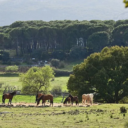 Farm stay Tambor Del Llano Grazalema