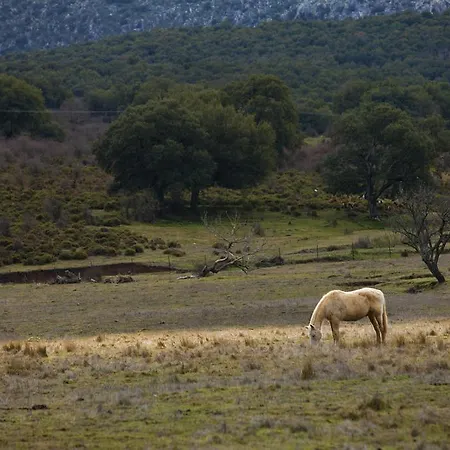 Tambor Del Llano Farm stay Grazalema