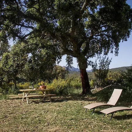 Farm stay Tambor Del Llano