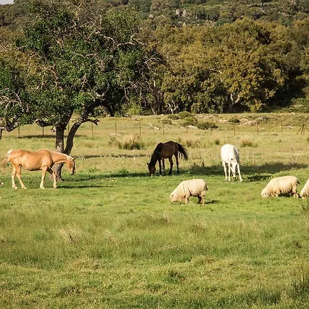 Tambor Del Llano Farm stay *